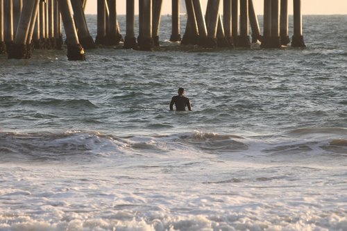 shore  beach  nature