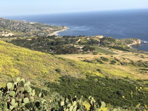 shoreline vista coast