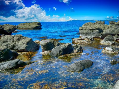 shoreline sea coast