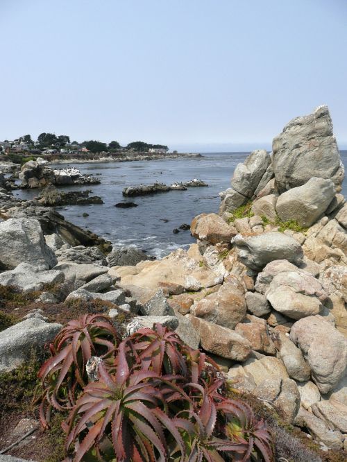 shoreline coast california