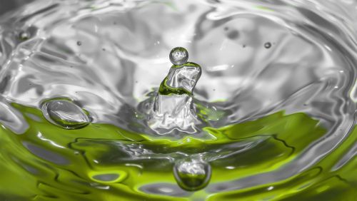 short-term exposure drop of water dishwashing liquid
