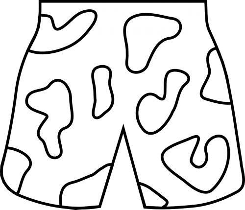 shorts beach clothing