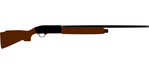 shotgun rifle gun