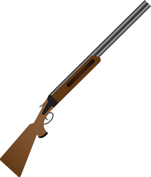 shotgun icon isolated