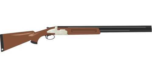 shotgun gun rifle