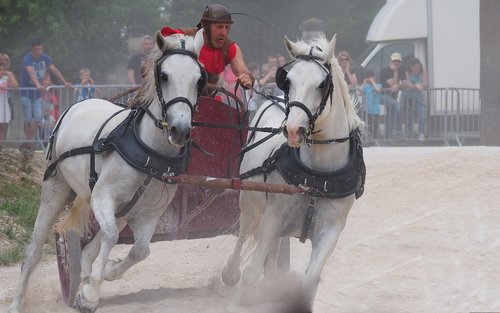 show  festival  medieval