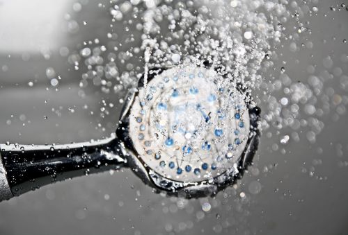 shower shower head water
