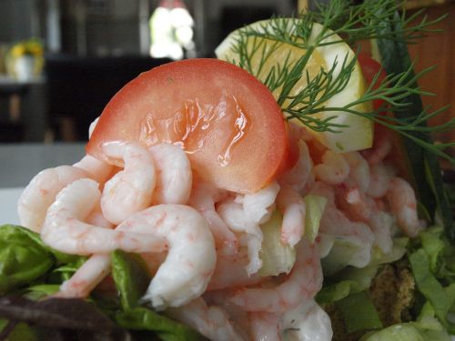 shrimp tomato dill