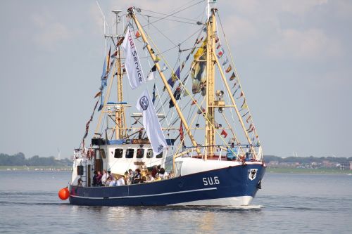 shrimp port cutter