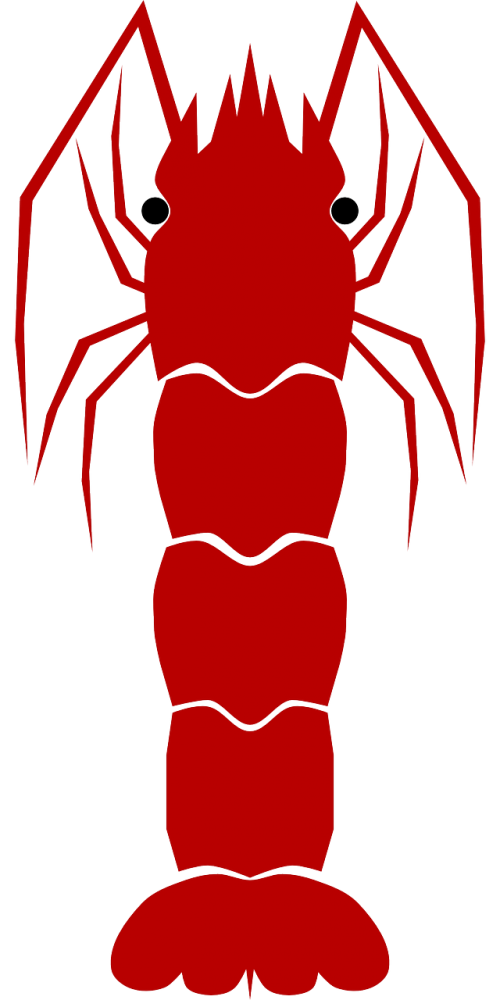 shrimp animal aqua