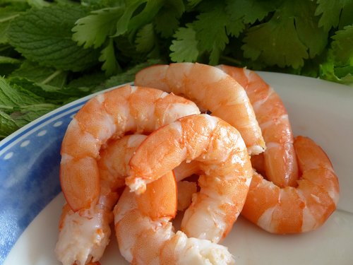 shrimp  kitchen
