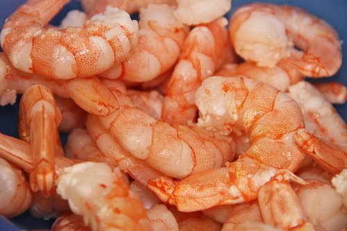 shrimp  seafood  fresh