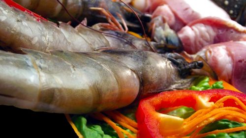 shrimp seafood gourmet