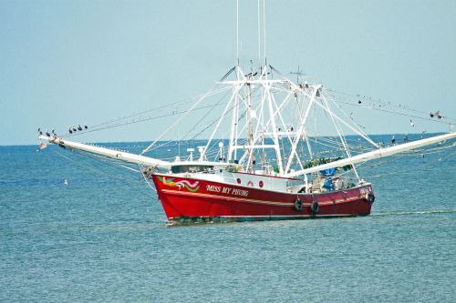 shrimp boat fishing boat boat