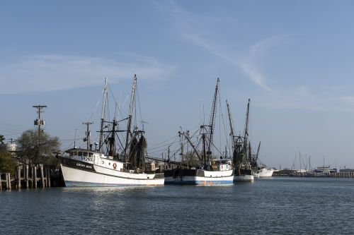 shrimp boats moored inlet