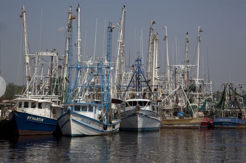 shrimp boats port sea