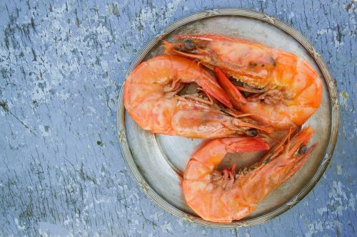 shrimps food seafood