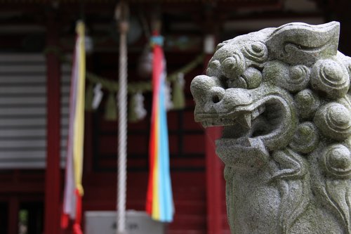 shrine  guardian dogs  japan