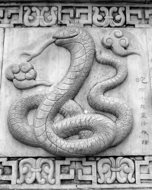 si snake oriental