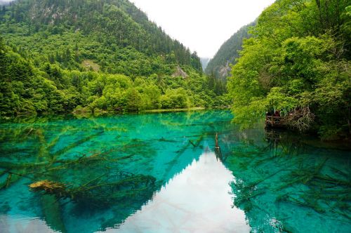 sichuan jiuzhaigou lake