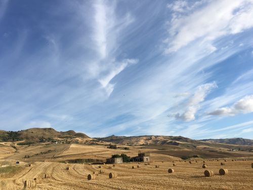 sicily wheat landscape
