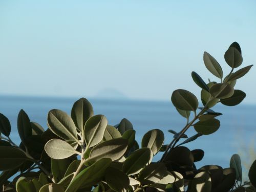 sicily sea holiday