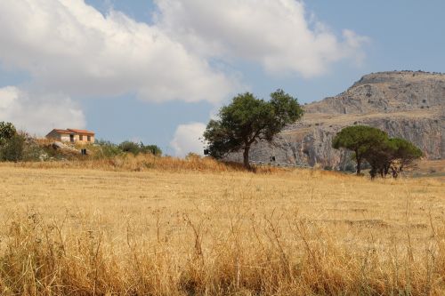 countryside sicily italy