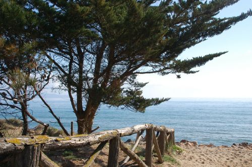 side landscape beach