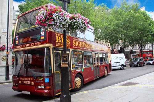 Sightseeing Tour Bus