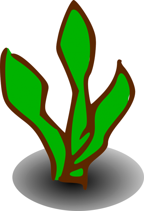 sign plant symbol