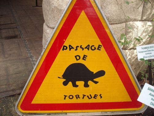sign danger animals