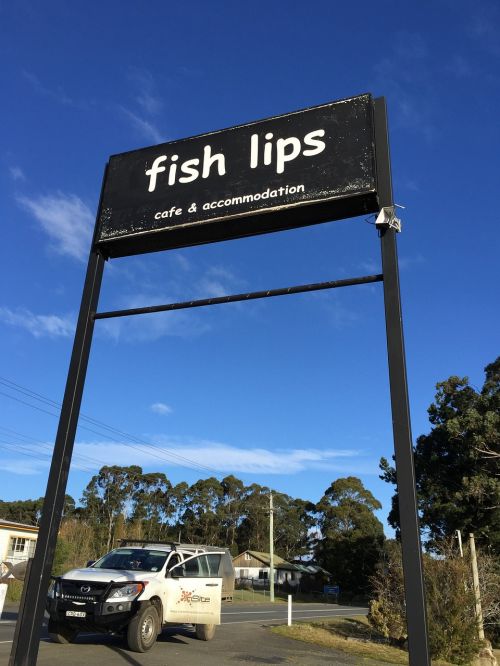sign fish lips fish