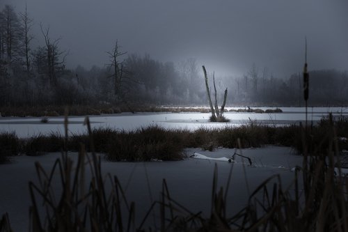 silent  winter  lake