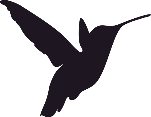 silhouette hummingbird bird