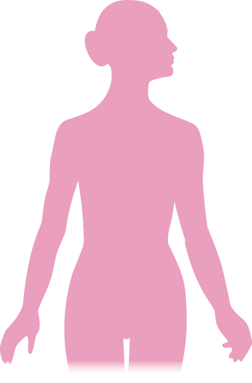 silhouette woman female