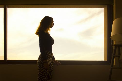 silhouette window decoration