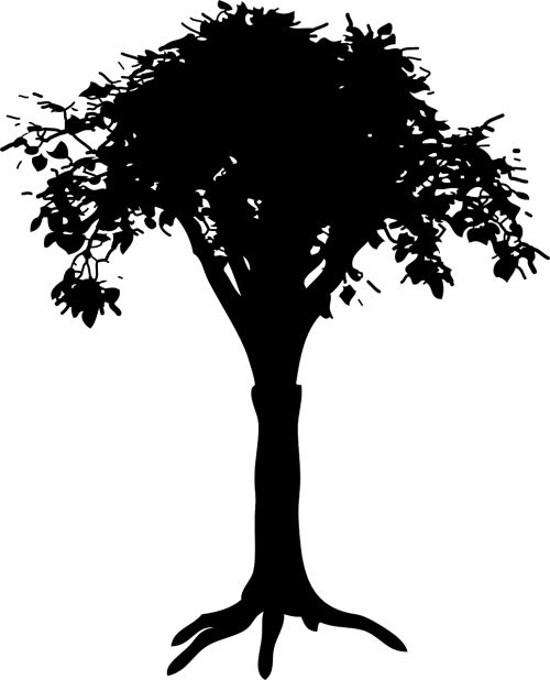 silhouette tree trunk