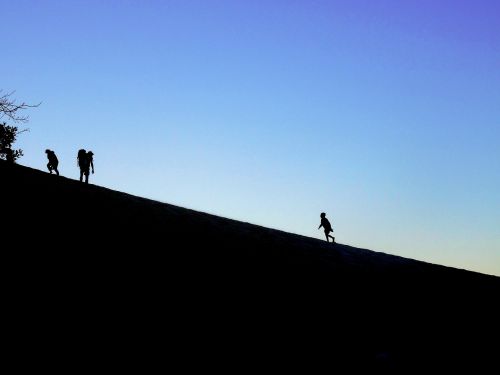 silhouette shadow group