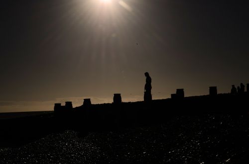 silhouette beach nature