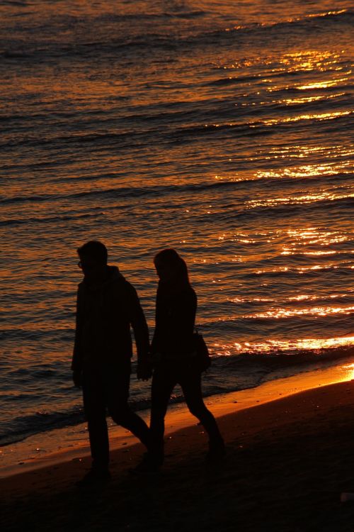 silhouette sea sunset