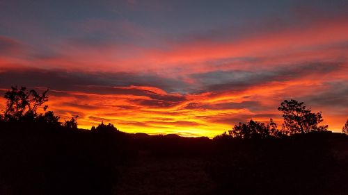 silhouette sunrise nature