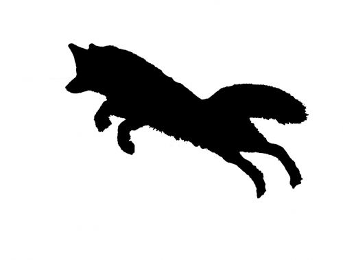 silhouette fox jump