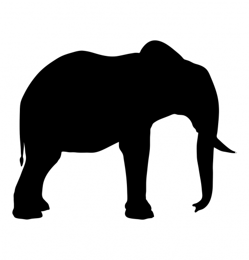 silhouette elephant animal