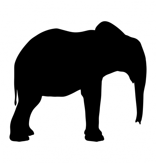 silhouette elephant animal