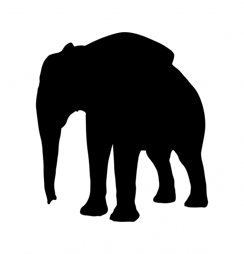 silhouette elephant animal