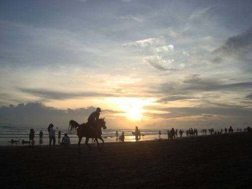 silhouette sunset horse