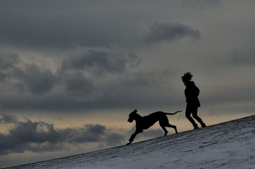 silhouette man and dog great dane