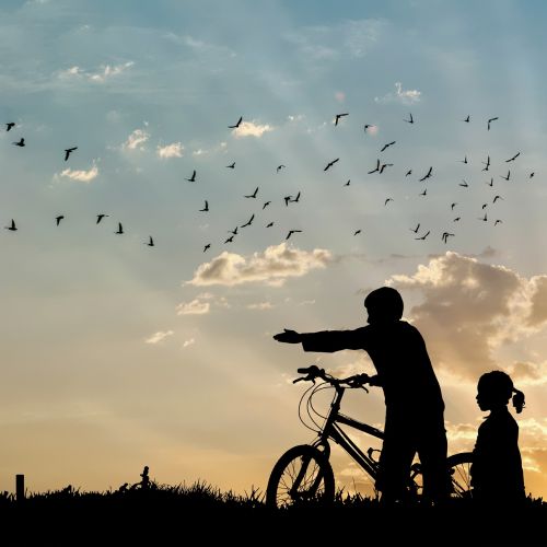 silhouette people sunset