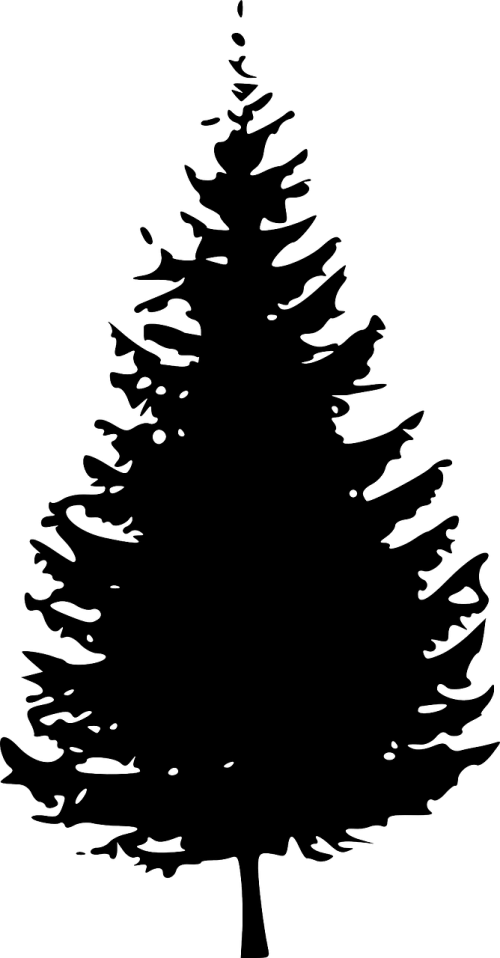silhouette christmas tree pine