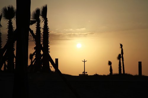 silhouette  sunset  backlit